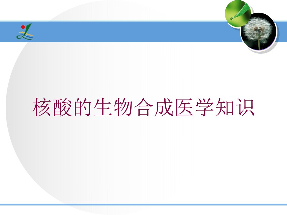 核酸的生物合成医学知识培训ppt课件