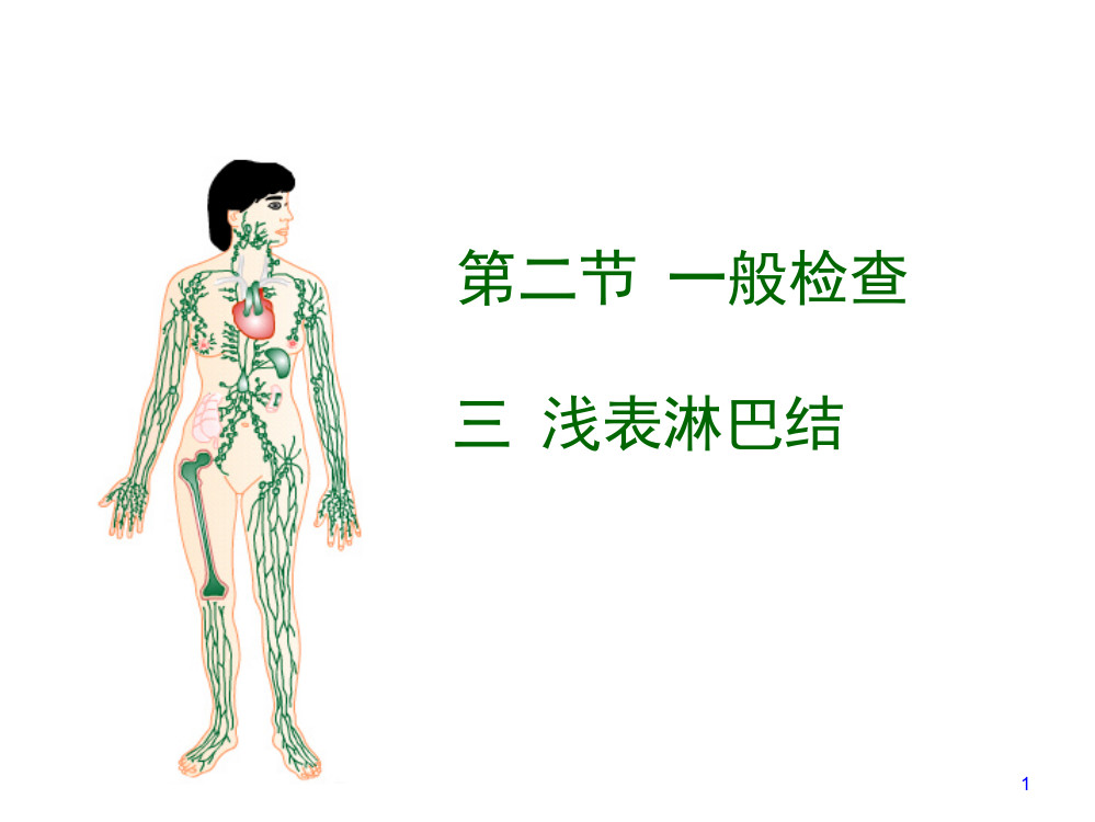 一般检查浅表淋巴结检查实验指导ppt课件