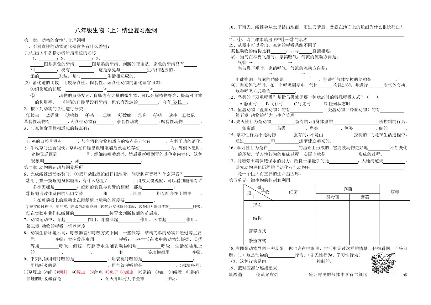 八年级生物上期末复习引导