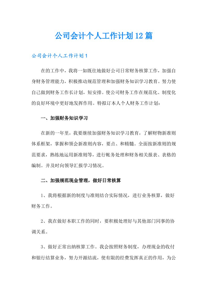 公司会计个人工作计划12篇