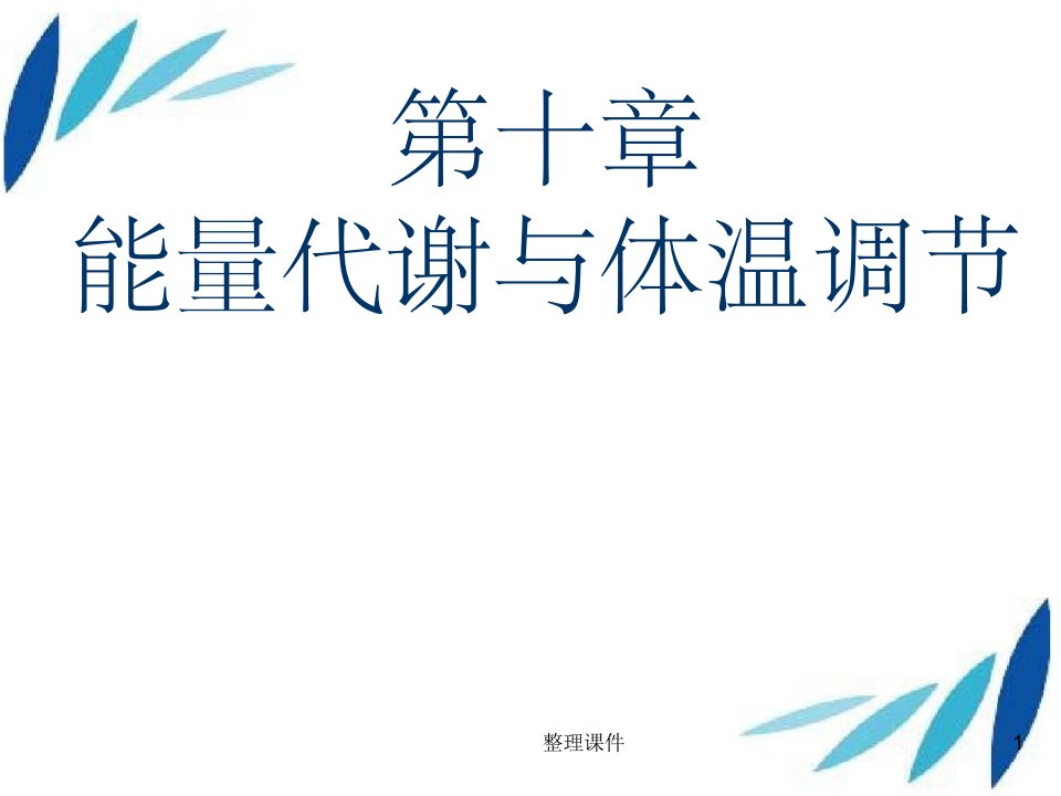 《能量代谢》