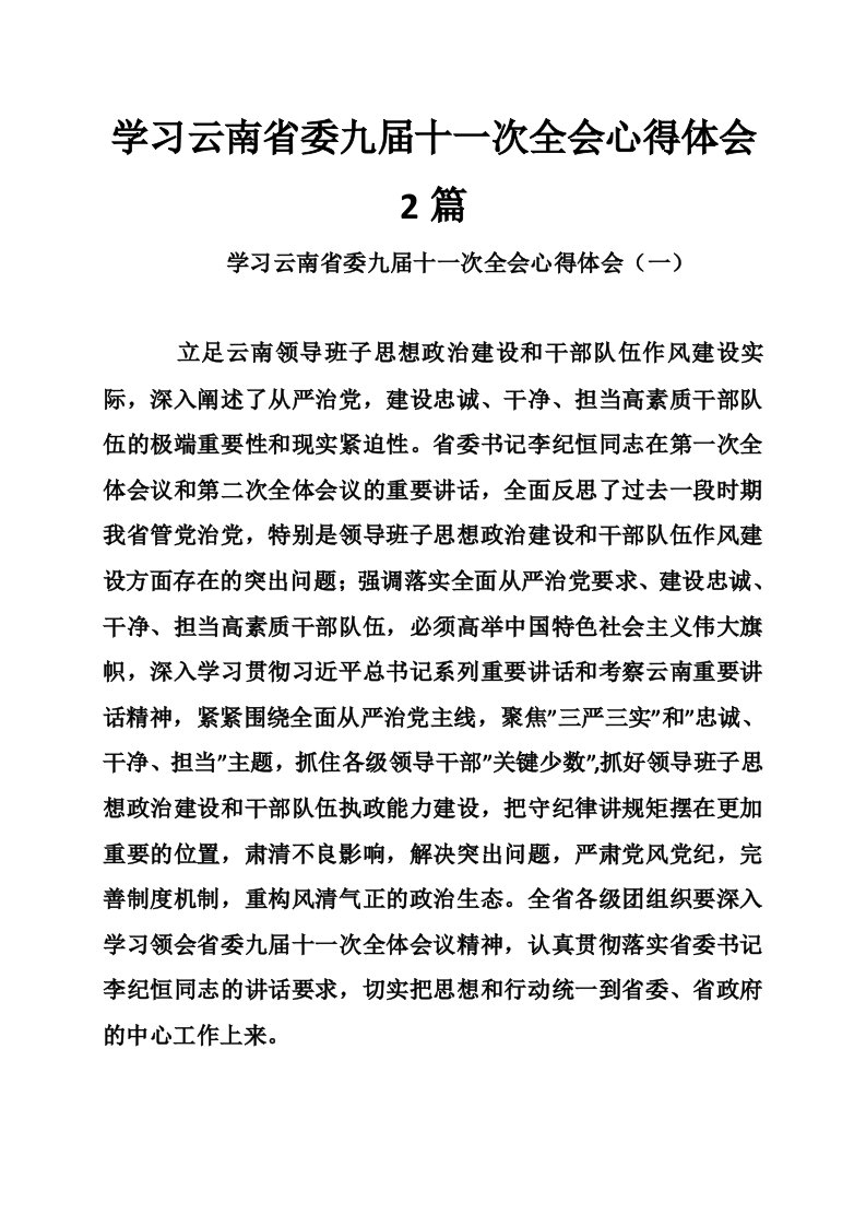 学习云南省委九届十一次全会心得体会2篇