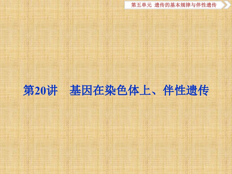 全国高考生物大一轮复习第五单元遗传的基本规律与伴性遗传第20讲基因在染色体上伴性遗传名师课件