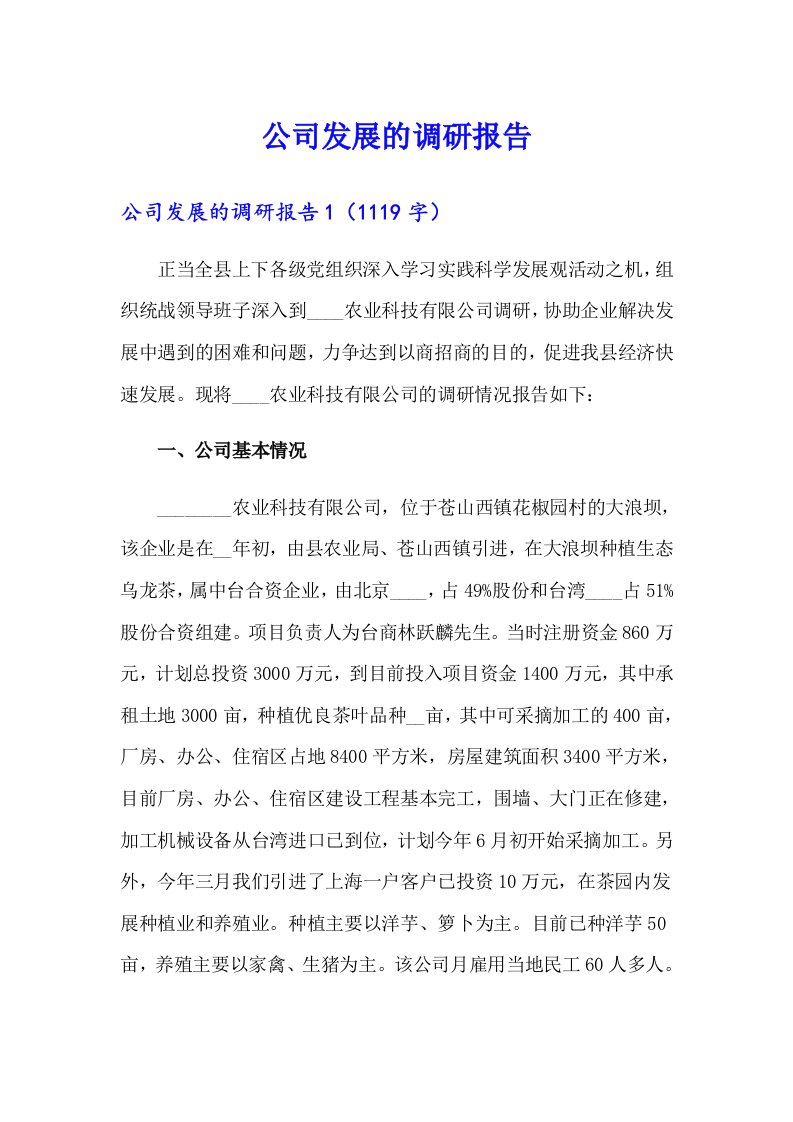 公司发展的调研报告