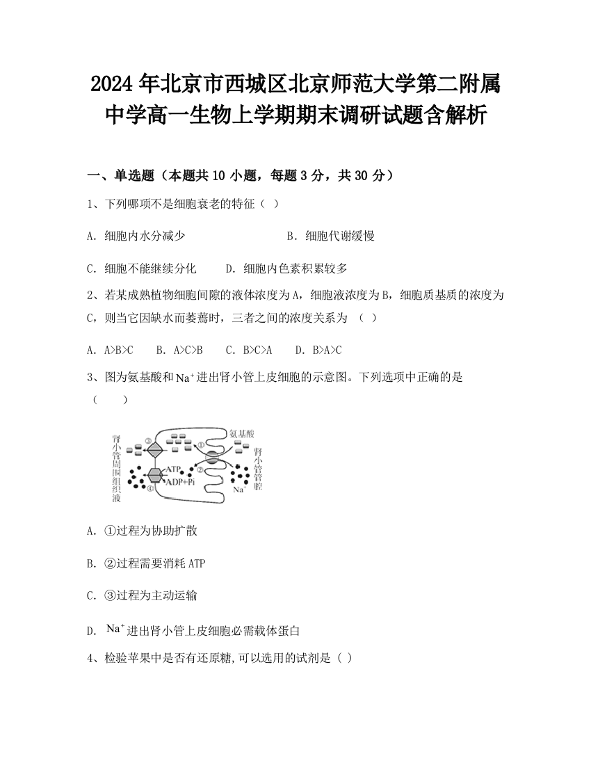 2024年北京市西城区北京师范大学第二附属中学高一生物上学期期末调研试题含解析