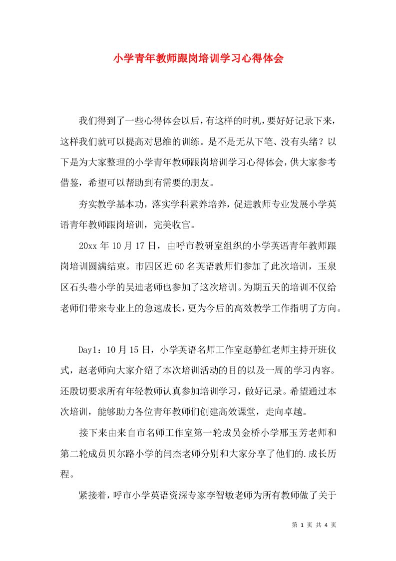 小学青年教师跟岗培训学习心得体会