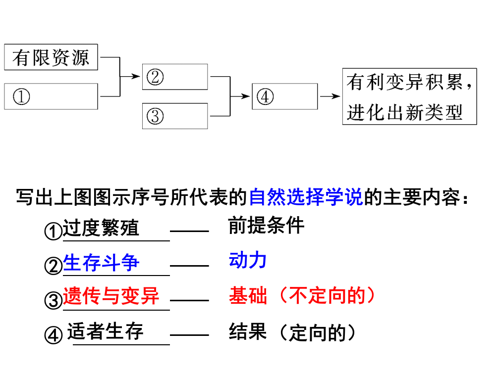 现代进化理论、灭绝