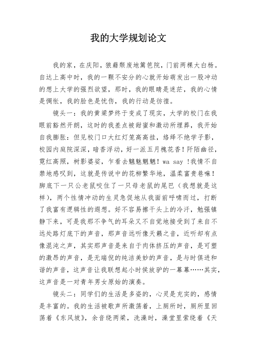 我的大学规划论文