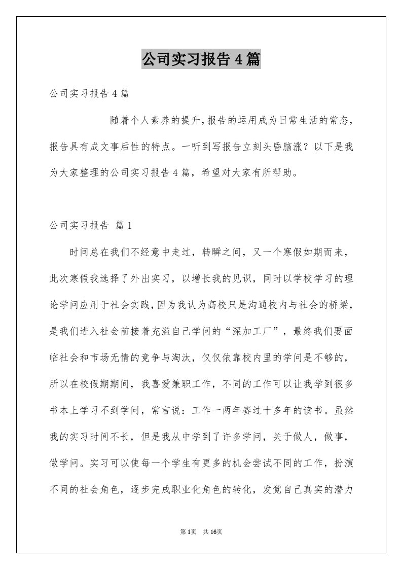 公司实习报告4篇例文3