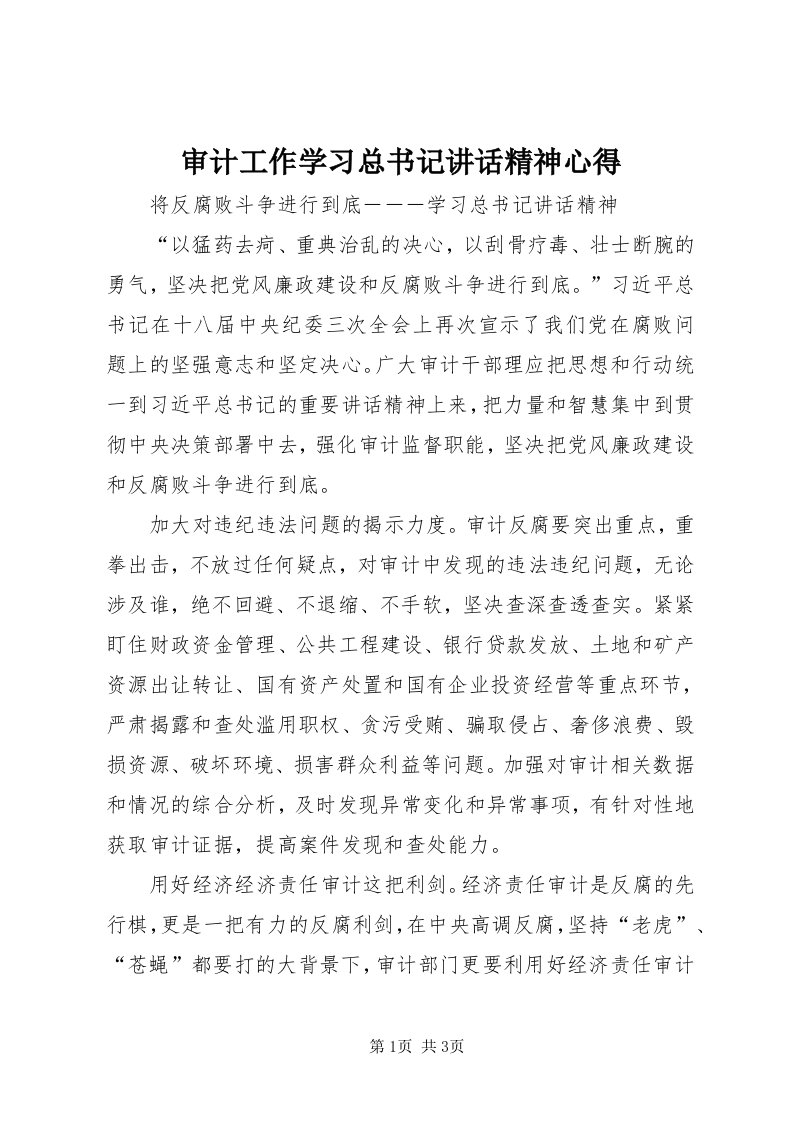 5审计工作学习总书记致辞精神心得