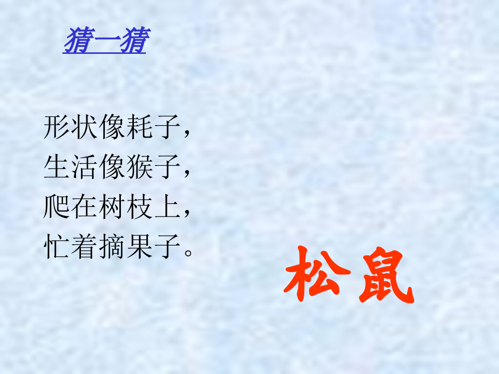 人教版语文一年级下册《松鼠和松果》课件