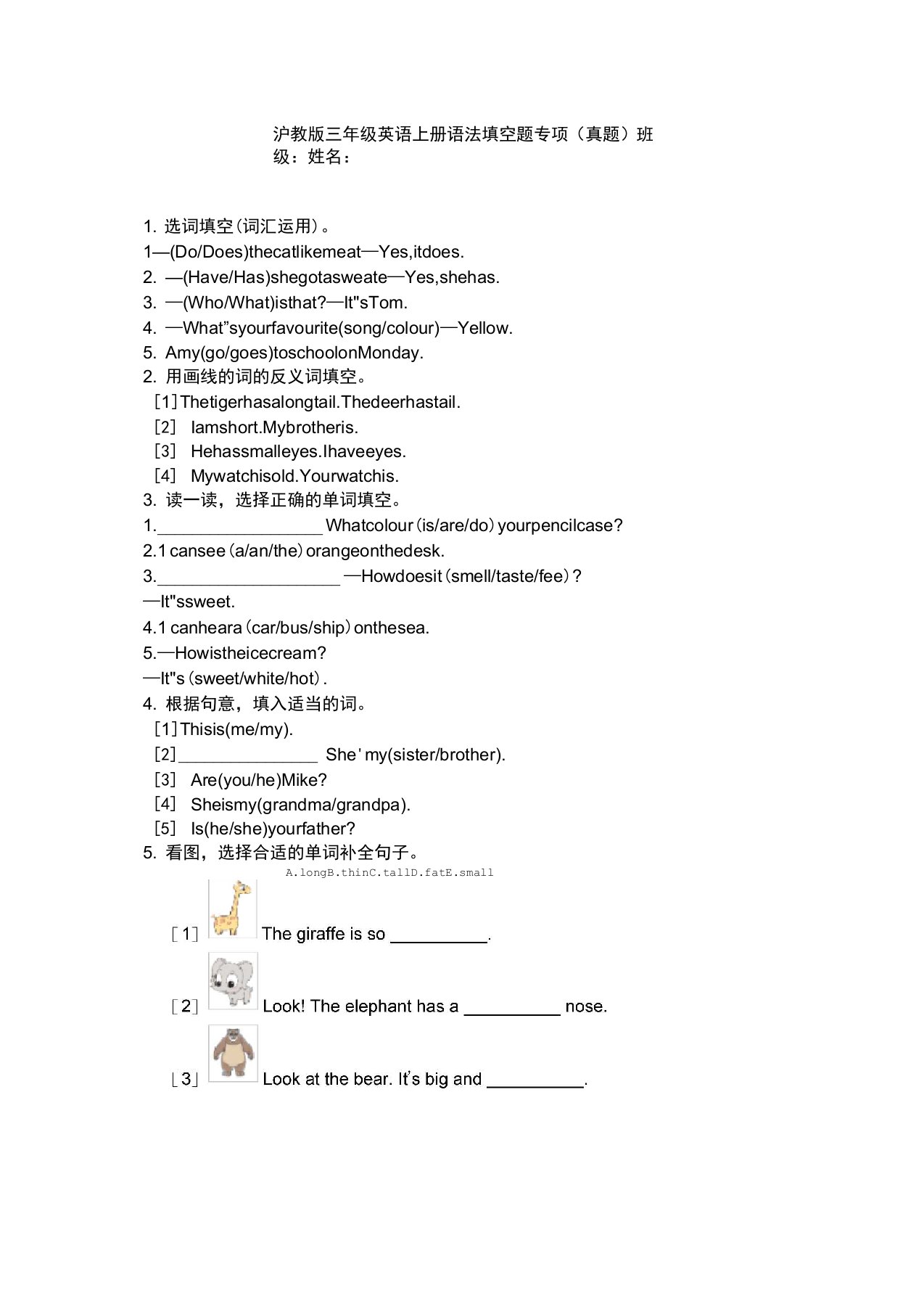 沪教版三年级英语上册语法填空题专项(真题)