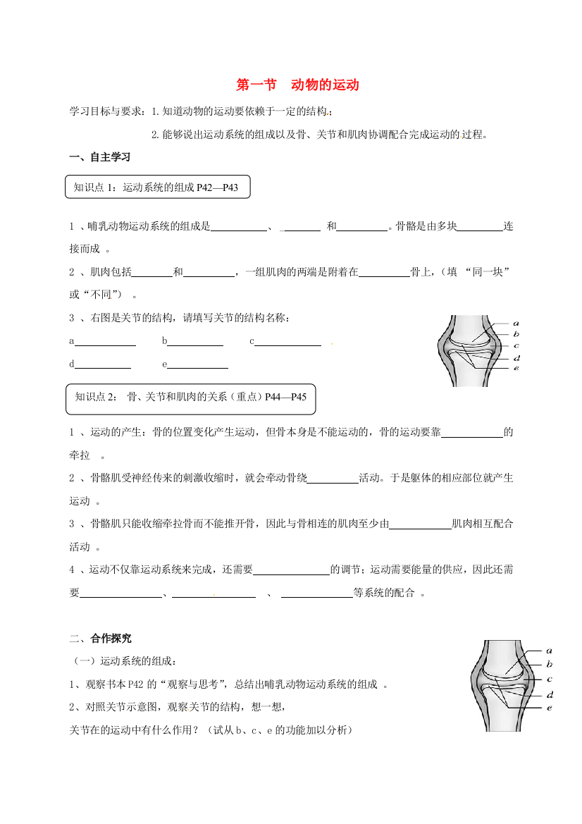 八年级生物上册-5-2-1-动物的运动导学案(无答案)(新版)新人教版