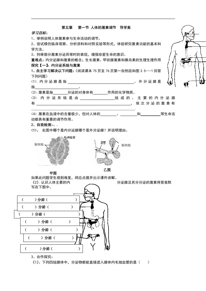 济南版生物七下《人体的激素调节》