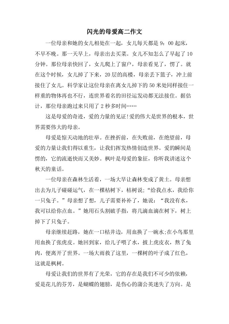 闪光的母爱高二作文