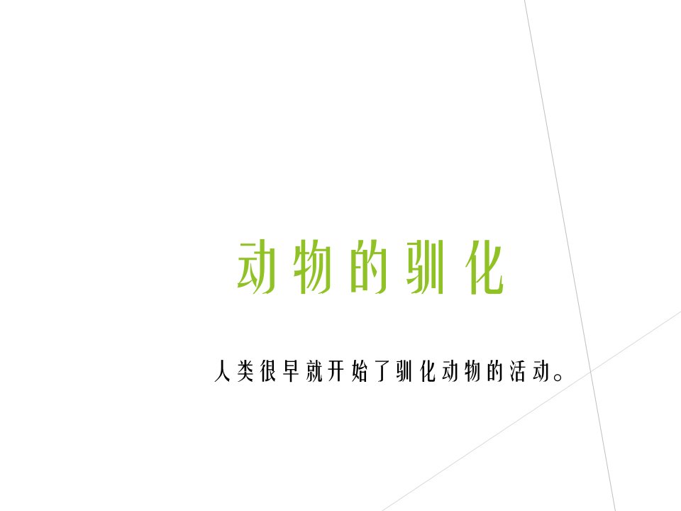 六年级下册科学课件动物的驯化1湘教版三起共11张ppt