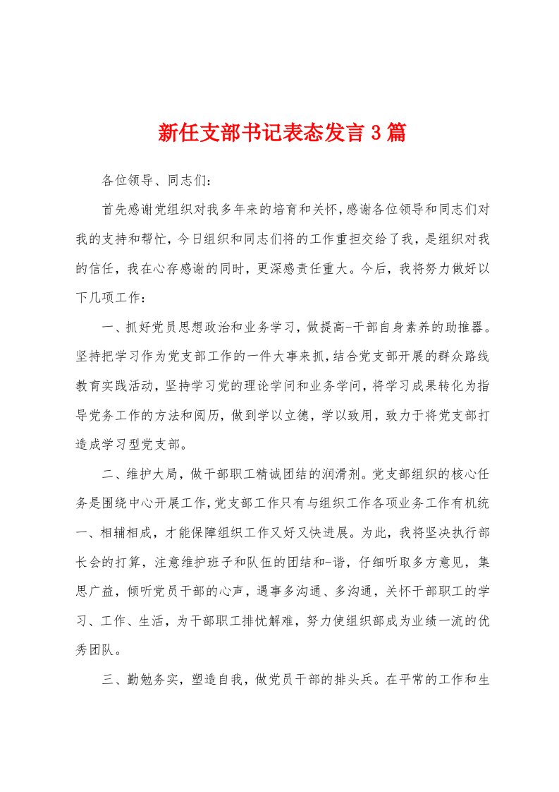 新任支部书记表态发言3篇