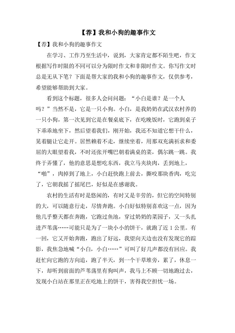 我和小狗的趣事作文