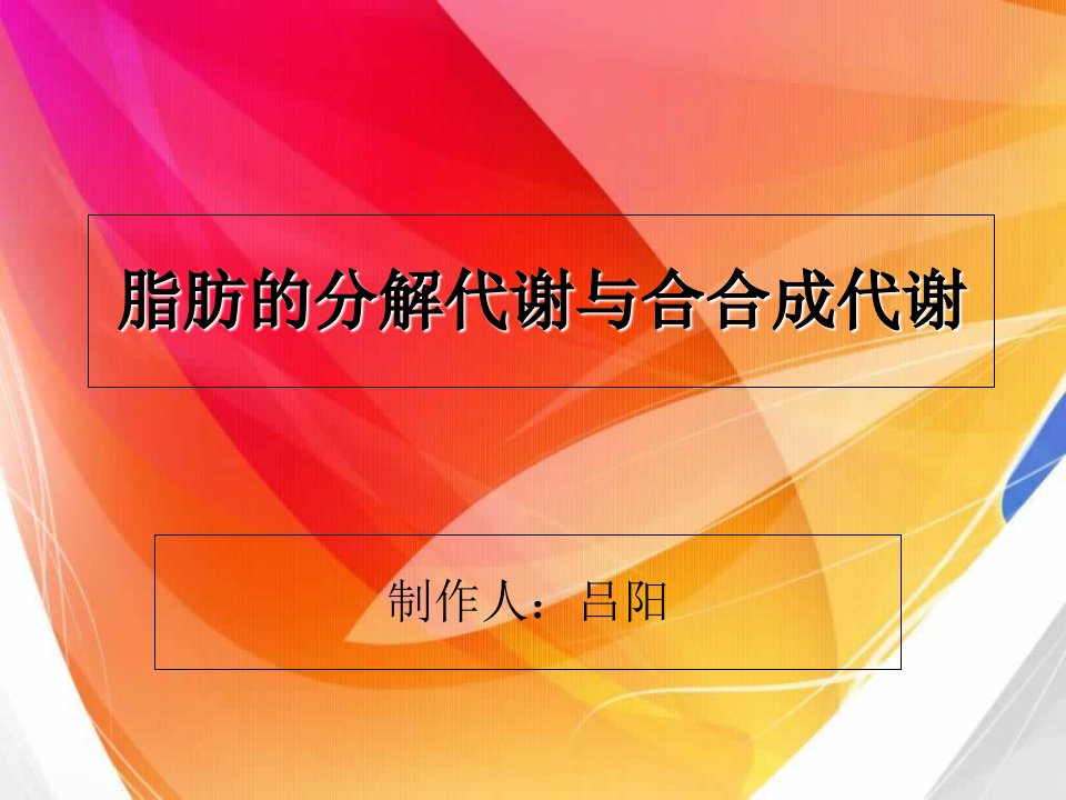 脂肪的分解代谢与合成代谢