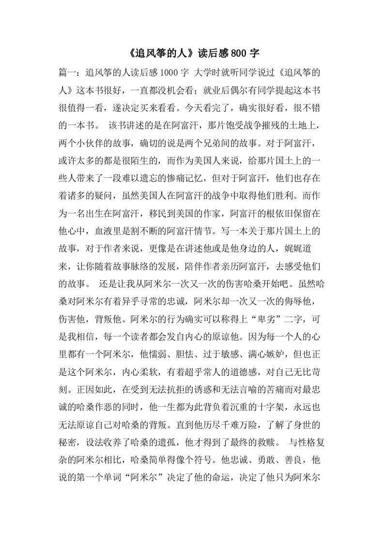 《追风筝的人》读后感800字