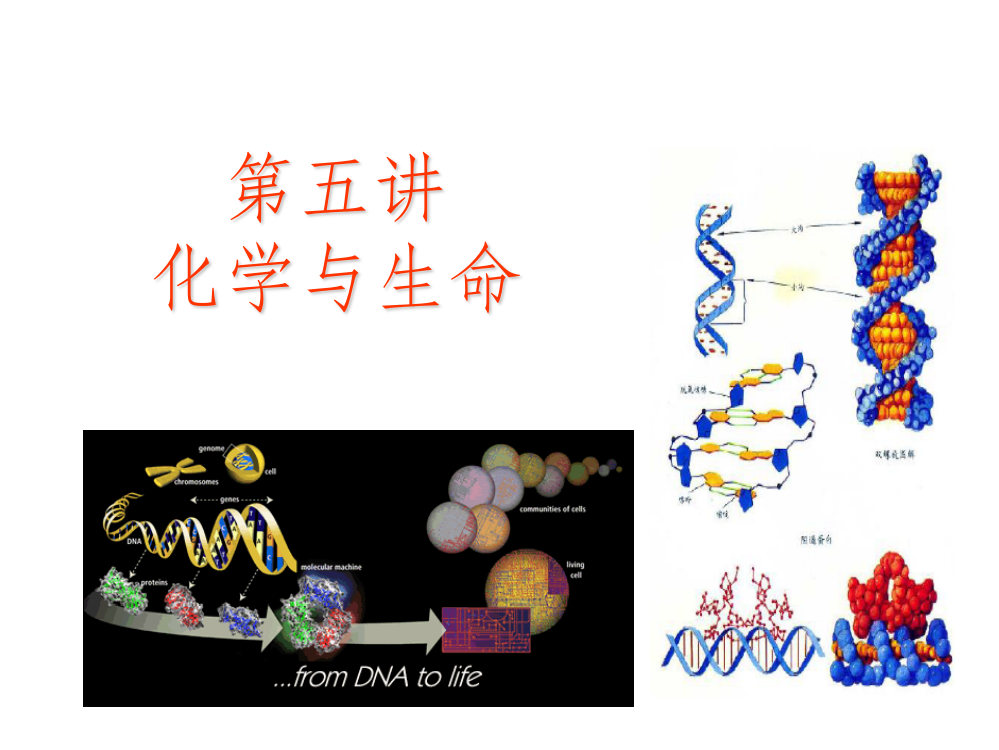 化学与现代社会