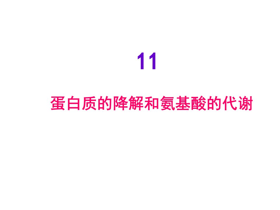 蛋白质的降解和氨基酸的代谢