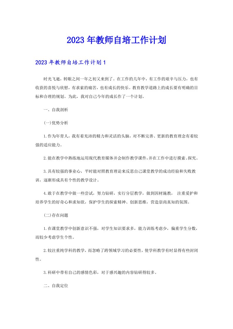 2023年教师自培工作计划