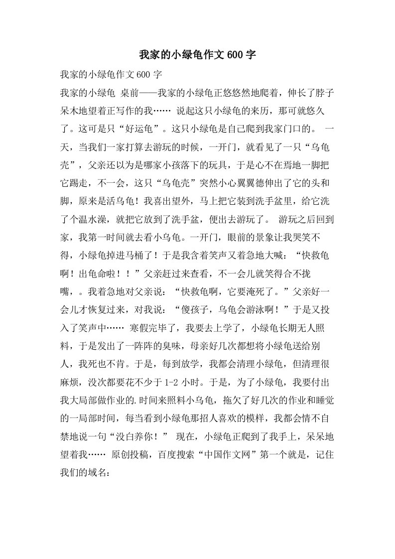 我家的小绿龟作文600字