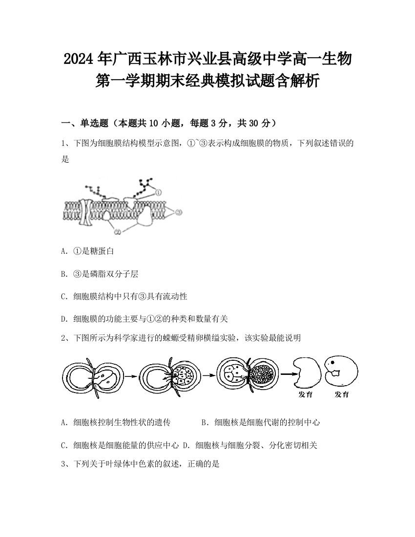 2024年广西玉林市兴业县高级中学高一生物第一学期期末经典模拟试题含解析