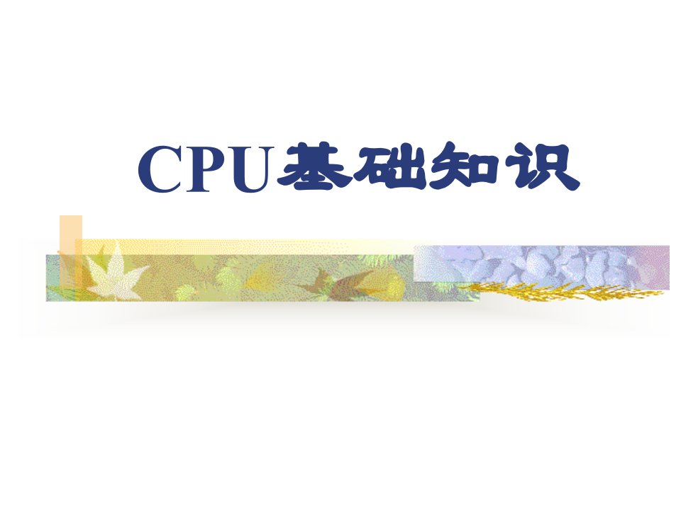 《CPU基础知识》PPT课件