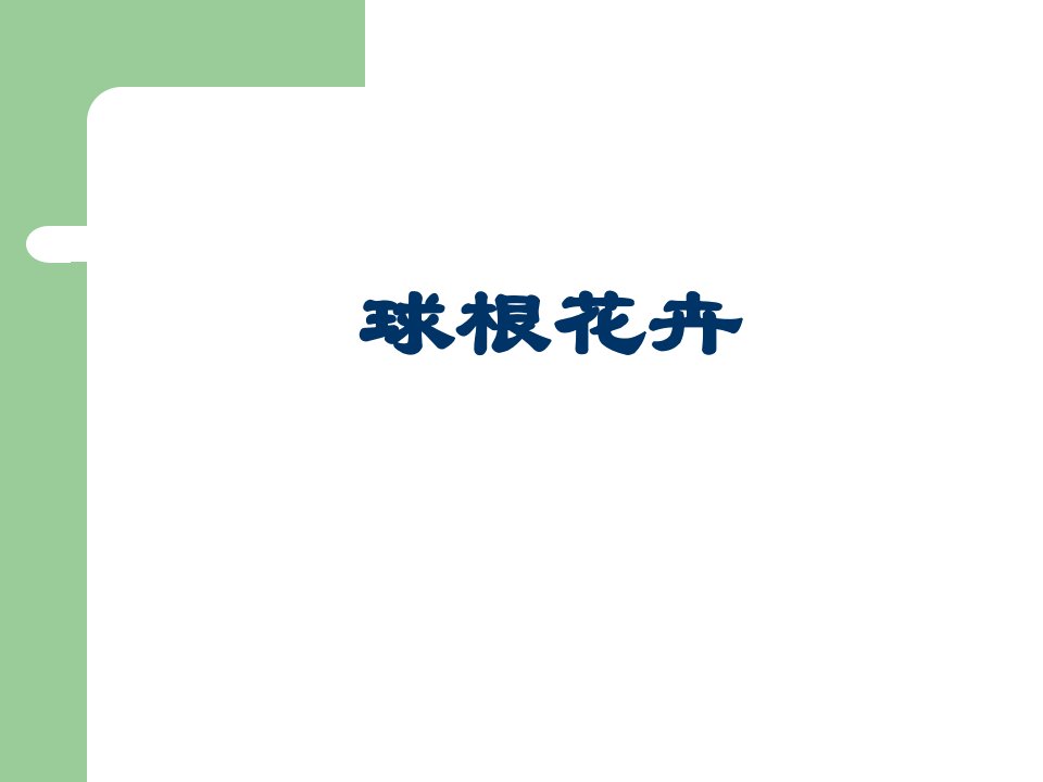 球根花卉及百合科