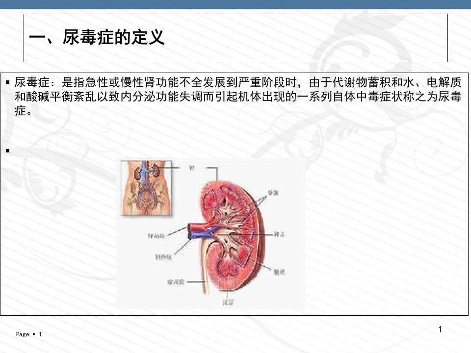 尿毒症病人的护理课件