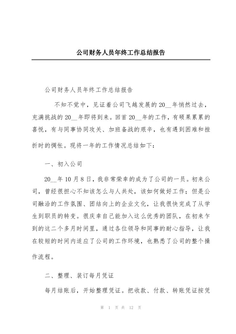 公司财务人员年终工作总结报告