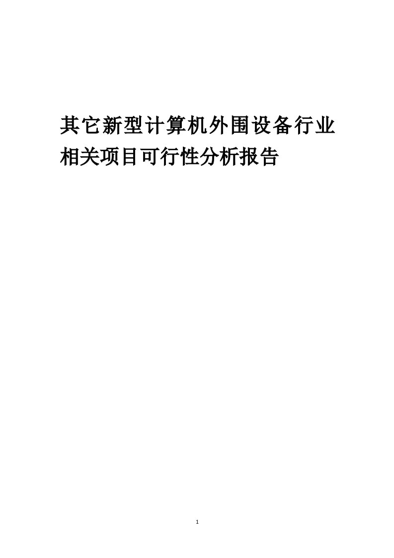 其它新型计算机外围设备行业相关项目可行性研究分析报告