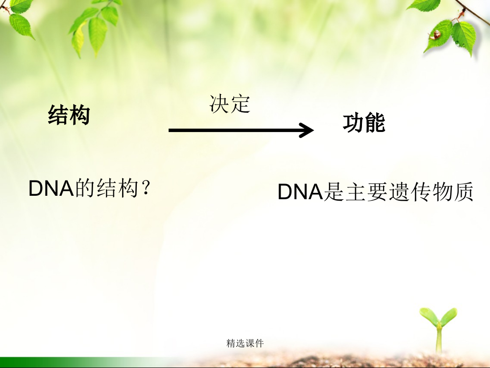 3-2-DNA分子的结构