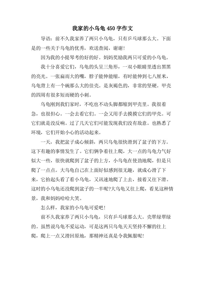 我家的小乌龟450字作文