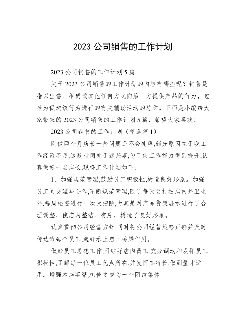 2023公司销售的工作计划