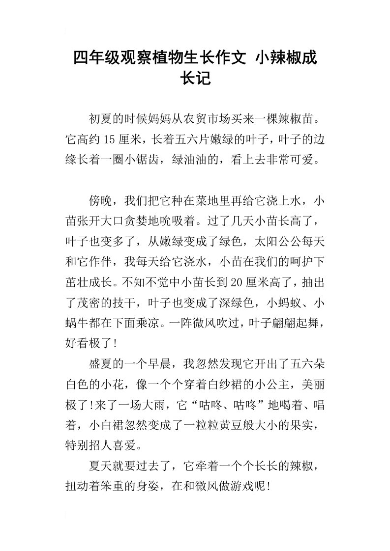 四年级观察植物生长作文小辣椒成长记