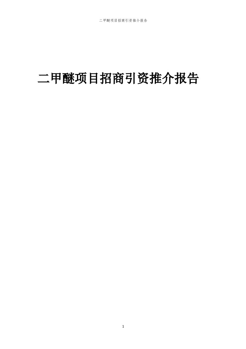 2023年二甲醚项目招商引资推介报告