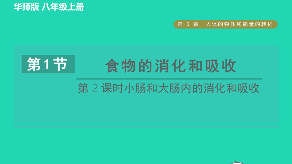 2021秋八年级科学上册第5章人体的物质和能量的转化5.1食物的消化和吸收第2课时小肠和大肠内的消化和吸收习题课件新版华东师大版