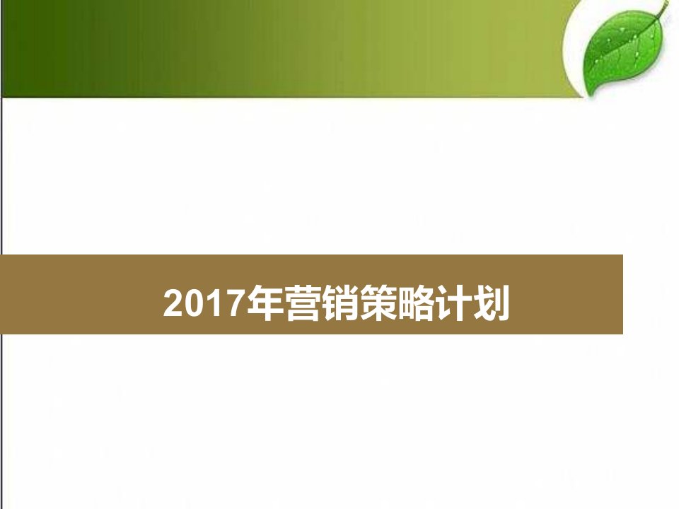 2017年山茶油行业营销策略计划