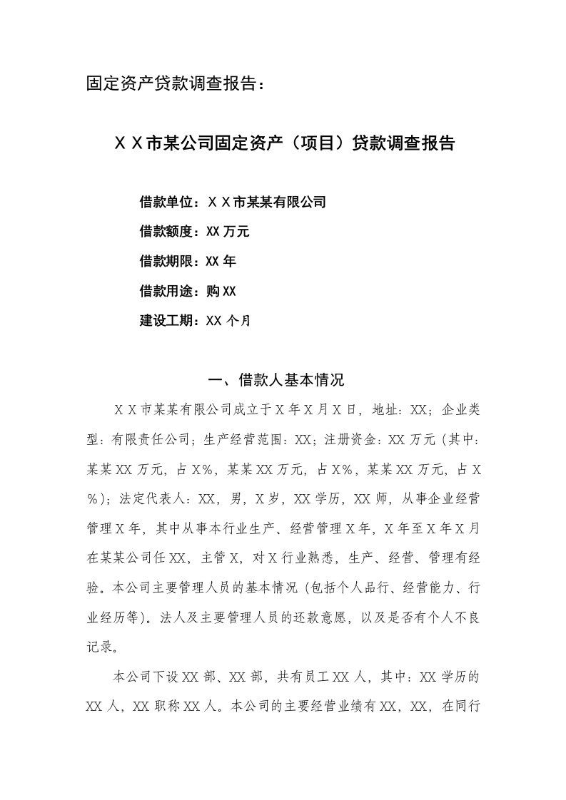 公司固定资产项目贷款调查报告