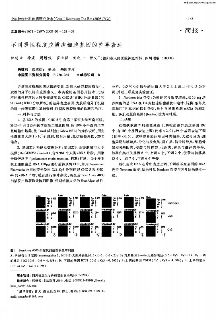 不同恶性程度胶质瘤细胞基因的差异表达.pdf