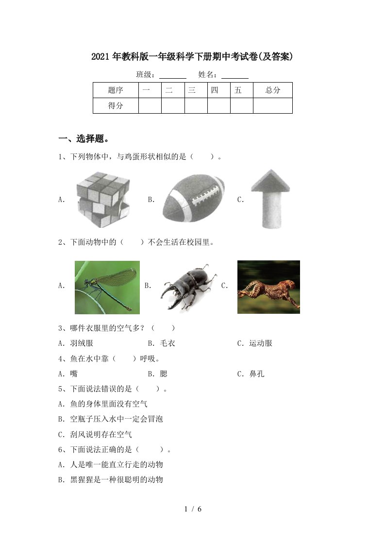 2021年教科版一年级科学下册期中考试卷及答案