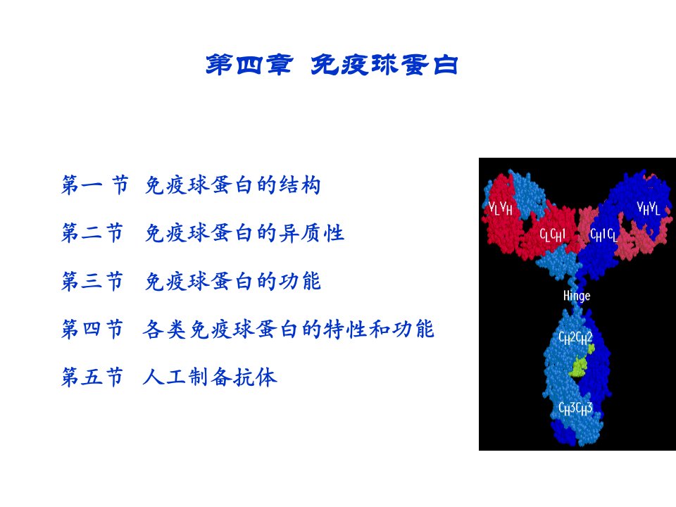 疫球蛋白医药免疫学