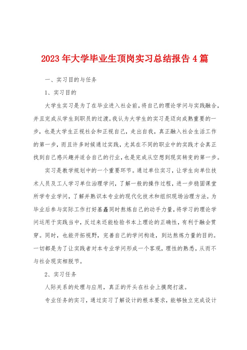 2023年大学毕业生顶岗实习总结报告