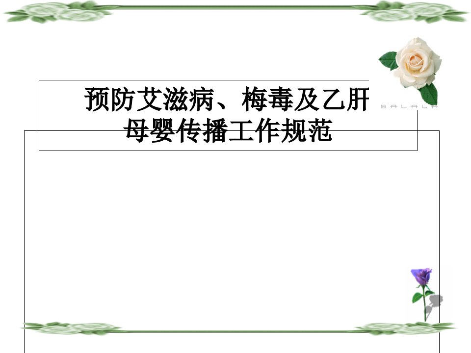 打印用艾滋病、梅毒及乙肝母婴传播阻断PPT课件