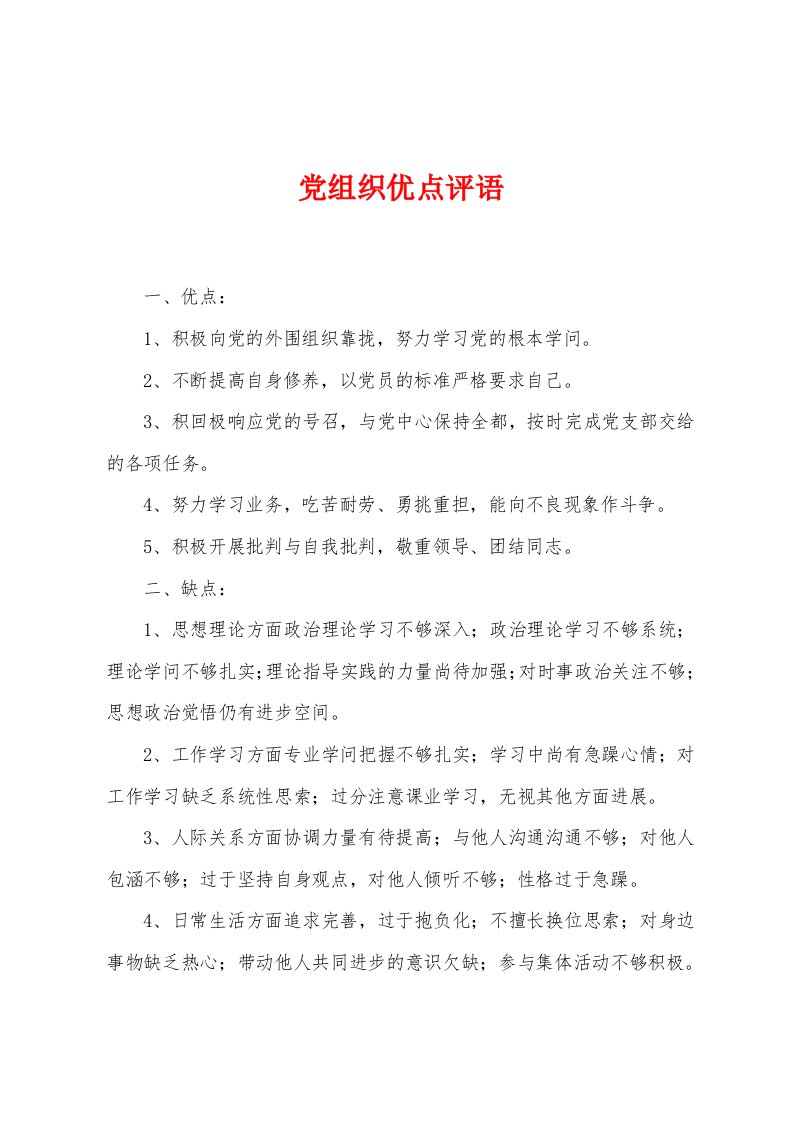 党组织优点评语