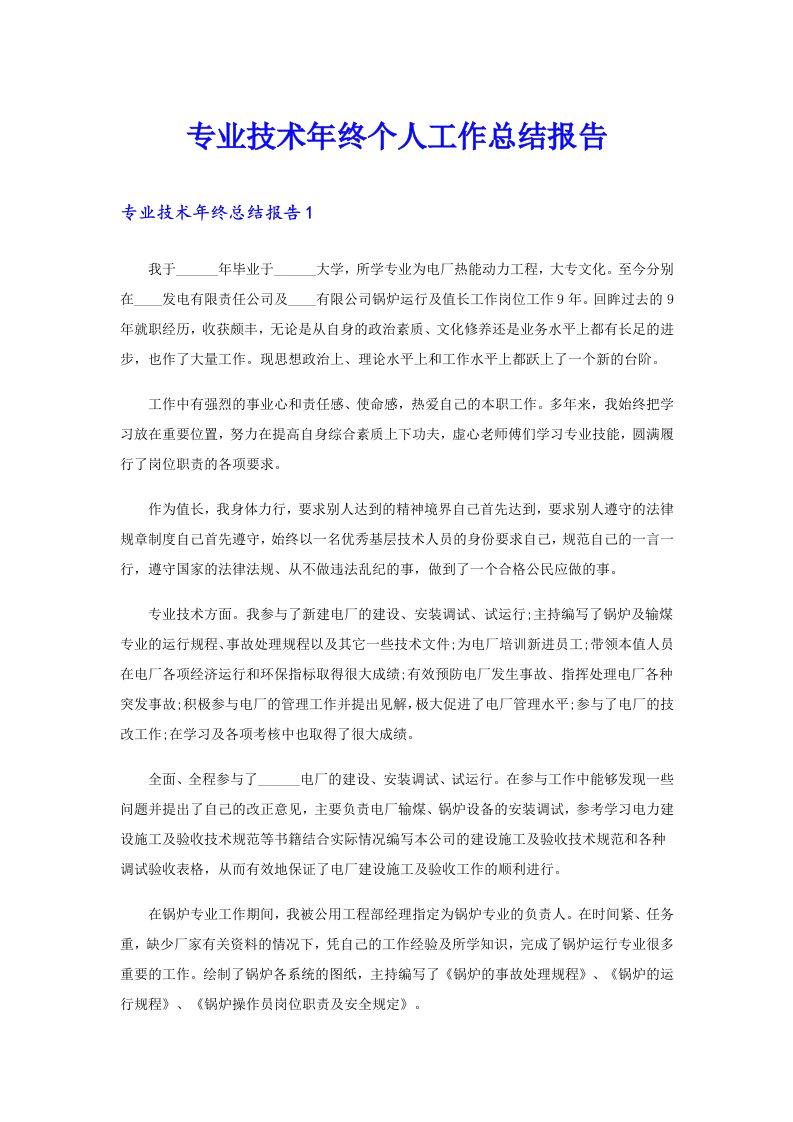 专业技术年终个人工作总结报告