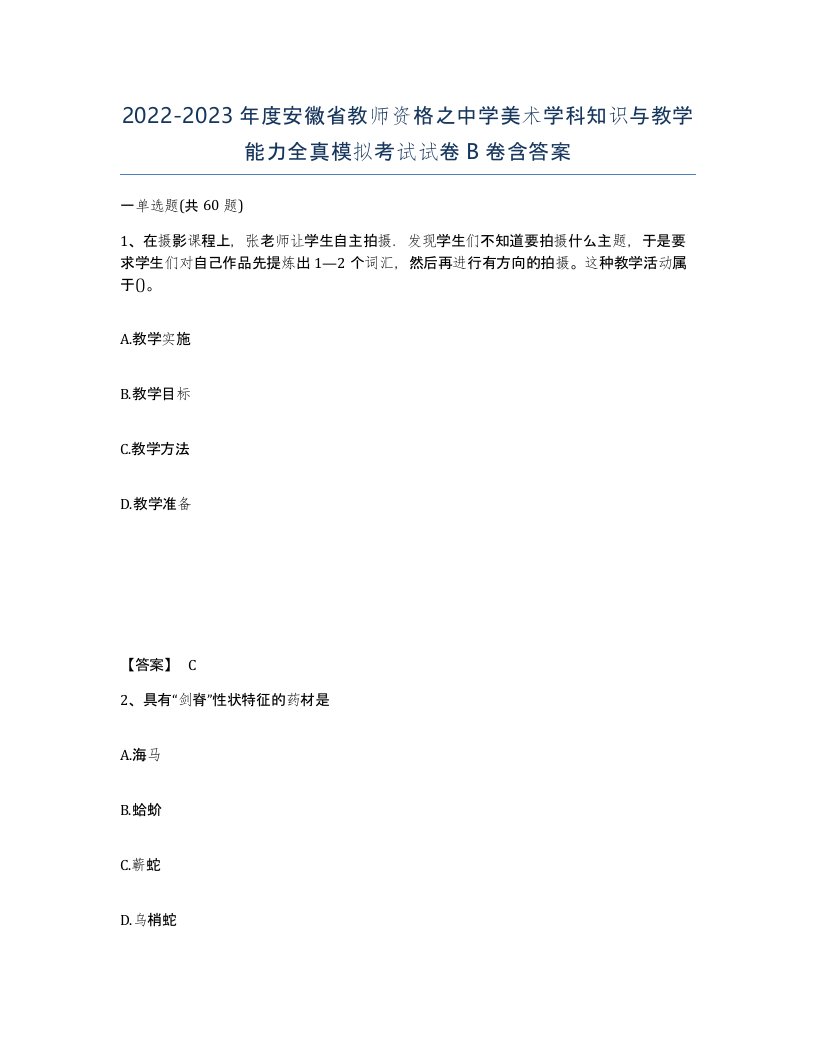 2022-2023年度安徽省教师资格之中学美术学科知识与教学能力全真模拟考试试卷B卷含答案